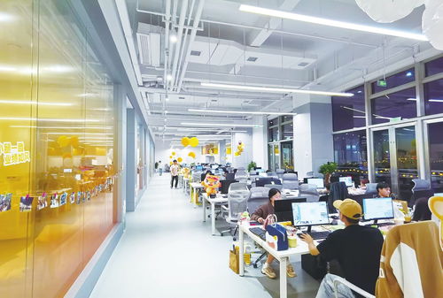 鍥而不舍 追 來10億元項目 皇家小虎 超級工廠 落戶新區(qū)背后的故事